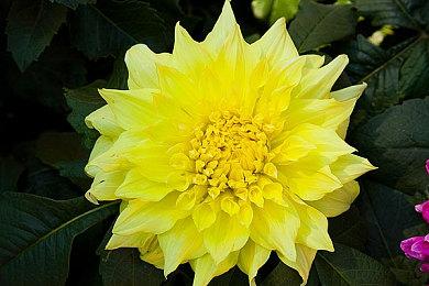 虚拟偶像绊爱VR节奏游戏23年初登陆PS5＆PS4